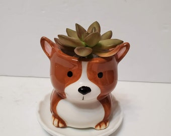 Mini Dog Planter with Succulent, Animal Planter, Houseplant Gift, Corgi, Sheepdog, Boxer, Terrier, Succulent Planter, Dog Plant Pot