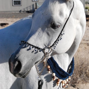 Decorative Arabian Halters & Necklaces