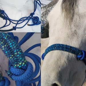 Rope Halter with Reinforced Noseband