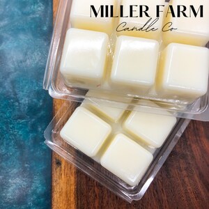 wax melter, wax warmer for wax melts/candle tarts