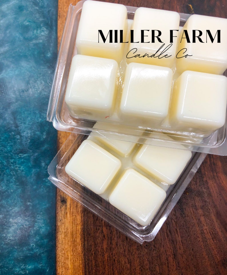 wax melter, wax warmer for wax melts/candle tarts