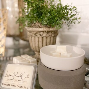 wax melter, wax warmer for wax melts/candle tarts