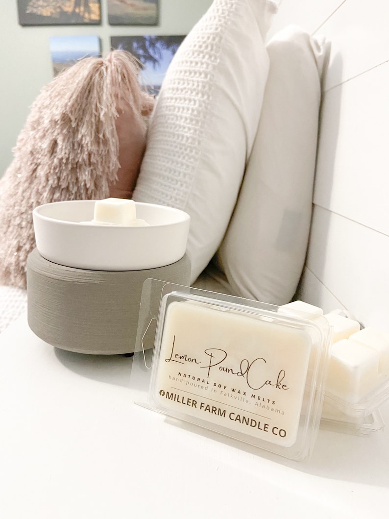 wax melter, wax warmer for wax melts/candle tarts