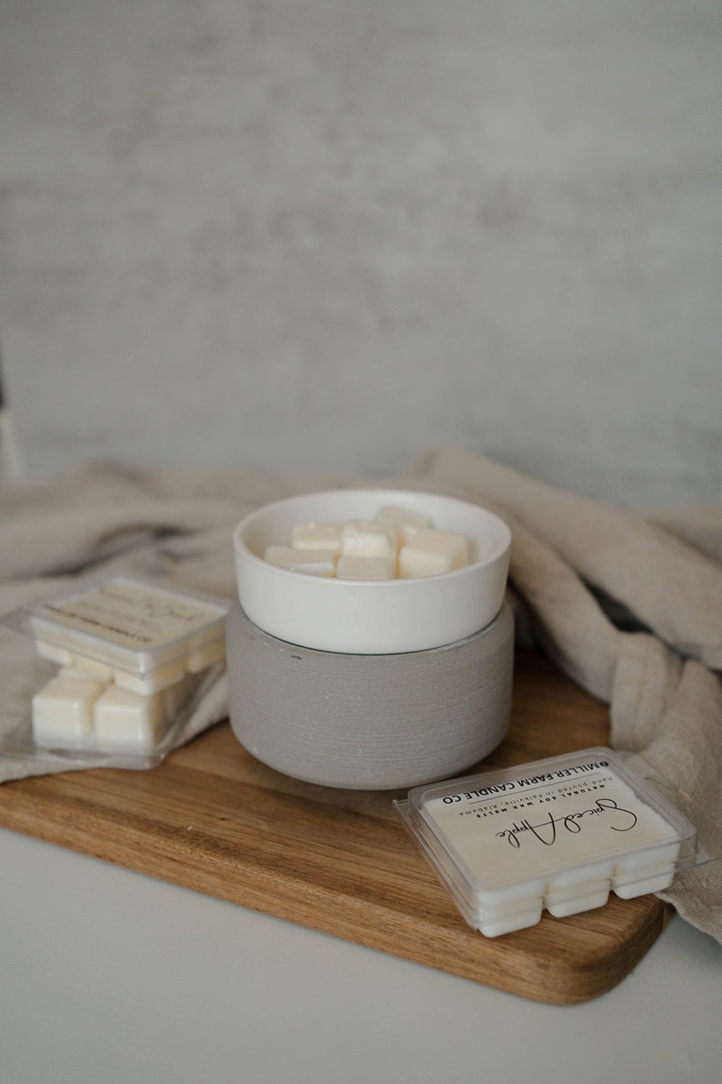 wax melter, wax warmer for wax melts/candle tarts