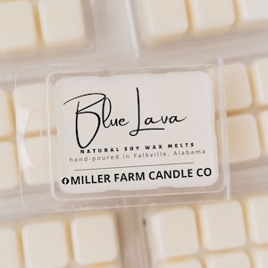 Strong Scented Soy Wax Melts Tarts | Autumn Christmas Holiday Scents | Clean Burning, Non-toxic, Phthalate Free | Gift Idea