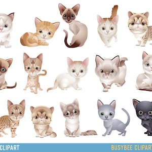 Cat Clipart Clip Art, Kitten Clipart Clip Art Cute animals clipart Kitten illustration For Personal and Commercial Use/ INSTANT DOWNLOAD