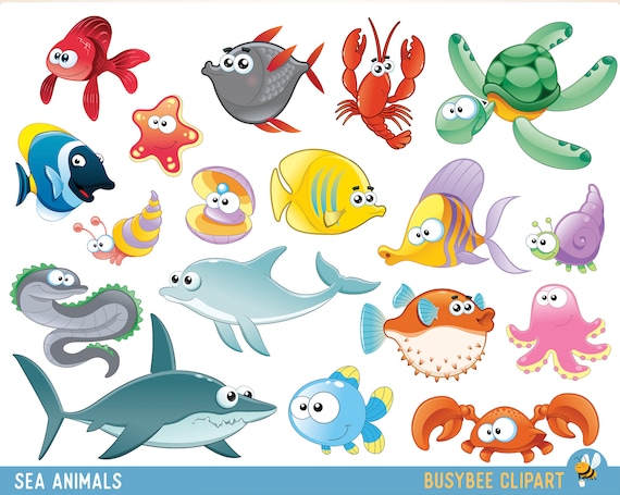 Sea Animal Clipart Under the Sea Baby Sea Creatures Clip Art Animal Clipart  Ocean clipart Sea creatures graphics Sea animals vector