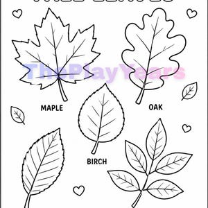 May include: A black and white coloring page titled FALL LEAVES featuring line art illustrations of maple, oak, birch, elm, and ash leaves. Each leaf is labeled with its name. Small heart icons are scattered around the page, and the text The Play Years appears at the bottom right.