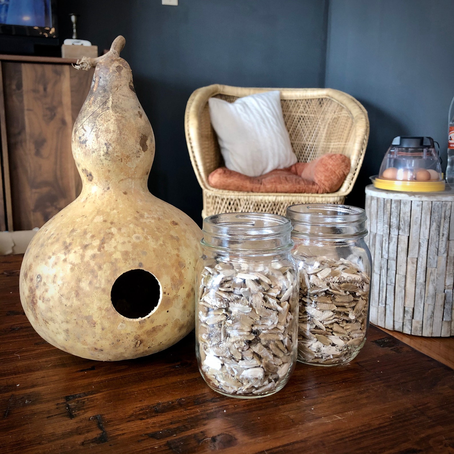 Ten Birdhouse Gourd Seeds Etsy