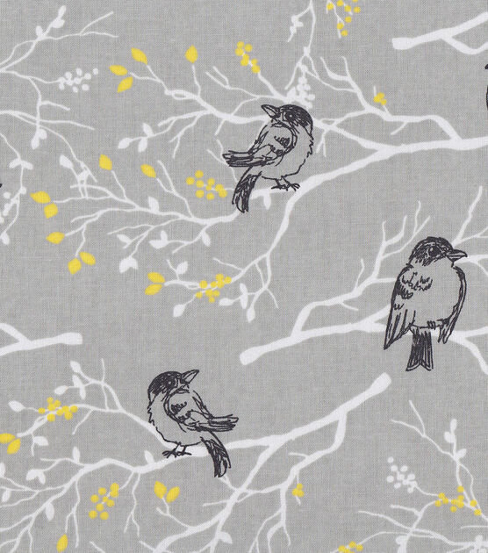Birds on Fabric, Black Birds on Cotton Fabric, Birds on Branches