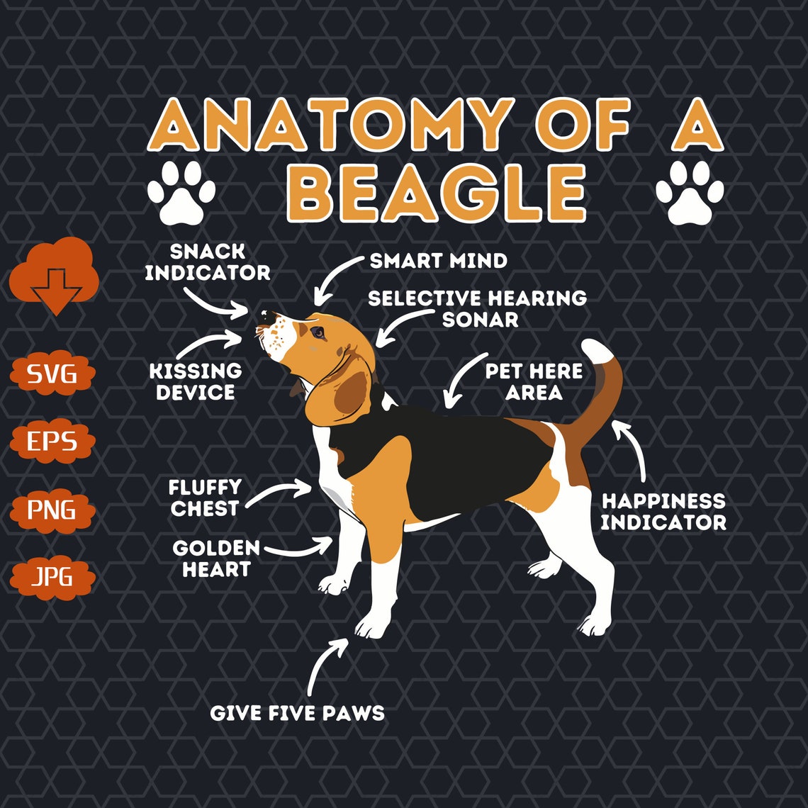 Anatomy Of A Beagle SVG Beagle Dog SVG Dog Lovers SVG Etsy