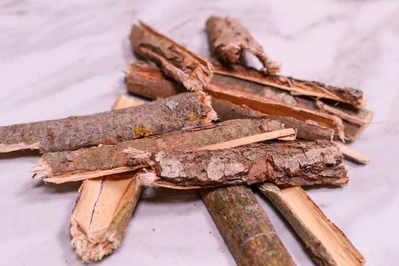 Bunny Forage Willow Bark Natural Forage for Rabbits Etsy UK