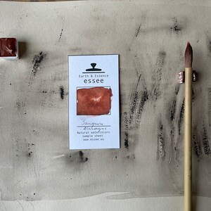 Puede incluir: Una hoja de muestra de pintura acuarela Sanguine de Earth & Essence essee. La hoja muestra una muestra de acuarela marr&oacute;n con el texto "Sanguine - Blutrot" y "Natural watercolors sample sheet www.essee.eu".