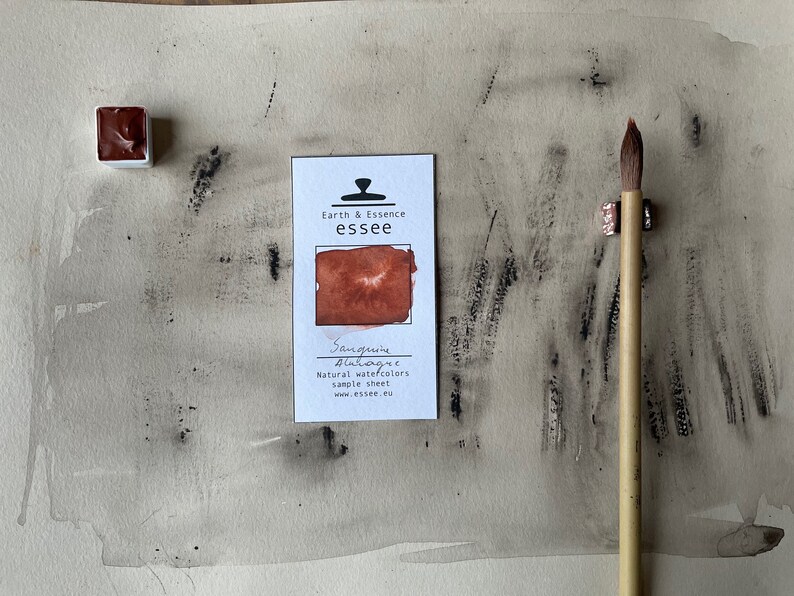 Puede incluir: Una hoja de muestra de pintura acuarela Sanguine de Earth & Essence essee. La hoja muestra una muestra de acuarela marr&oacute;n con el texto "Sanguine - Blutrot" y "Natural watercolors sample sheet www.essee.eu".