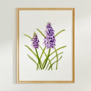 Hyacinth Watercolor Print - Hyacinth Wall Art - Purple Floral Watercolor Print - Spring Watercolor Flowers Print - Mother&#39;s Day print