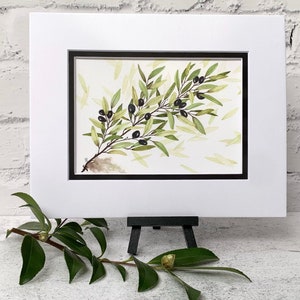 Olive Branch Watercolor Print, Botanical Print, Watercolor Leaves, Olive Branch Painting, 5x7 Olive Branch, 8x10 Olive Branch