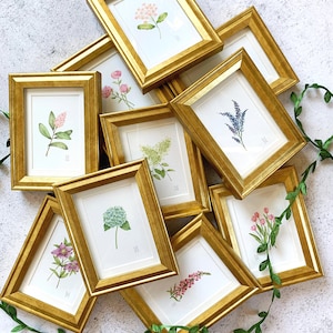 YOUR CHOICE Mini Framed flower Print - Botanical Wall Art - Watercolor Floral Art - Gold Framed Gift for Her - Mother's Day Floral Gift