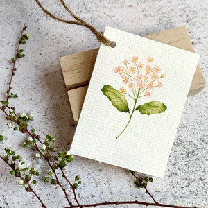 以下が含まれることがあります： 小さな薄ピンク色の花の房と緑の葉が描かれた水彩画。白いカードに描かれています。カードは茶色の紐で木のブロックに付けられています。白い花が咲く枝が背景にあります。