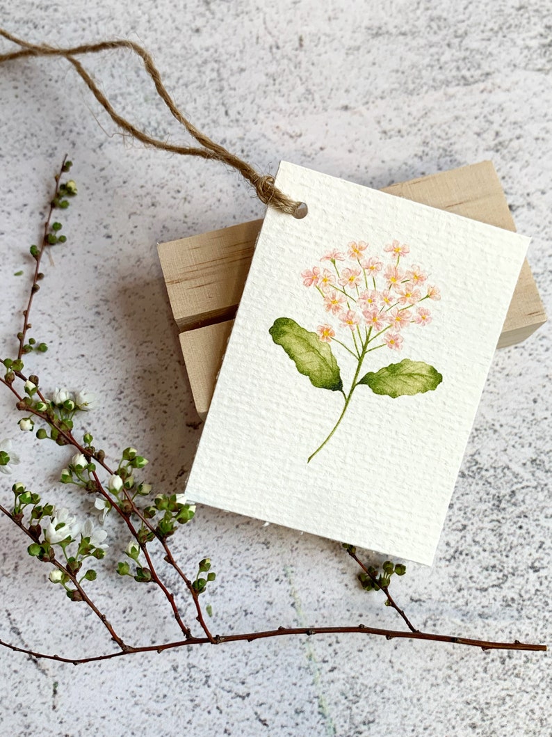 以下が含まれることがあります： 小さな薄ピンク色の花の房と緑の葉が描かれた水彩画。白いカードに描かれています。カードは茶色の紐で木のブロックに付けられています。白い花が咲く枝が背景にあります。