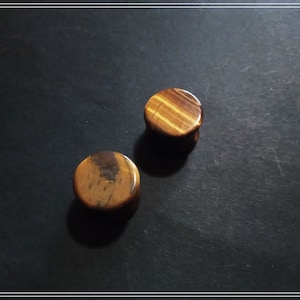 The pair of tiger&#39;s eye stone plug. Colors may vary.