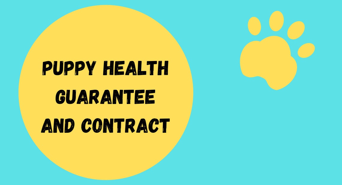 Puppy Health Guarantee and Contractcontractpetshealth Guaranteedogs
