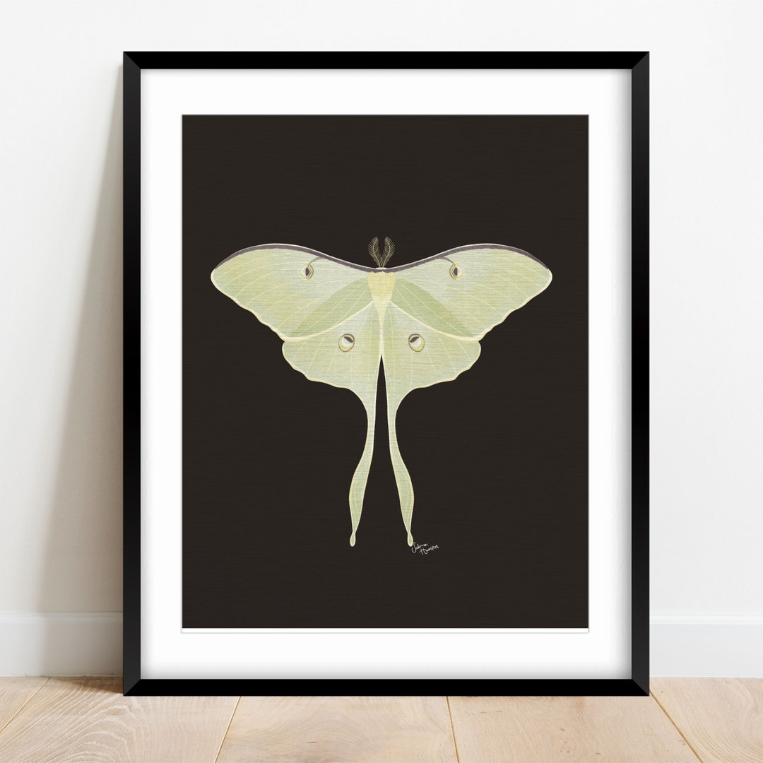 Dark Academia Luna Moth Gallery Wall Art - Original Watercolor Canvas ...