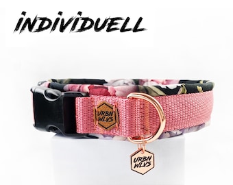 Individual Collar Adjustable - Dog - Dog Collar - Padded - Dog Accessories - Collar - Dog