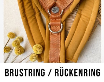 Chest ring / back ring - additional option for Y-harness