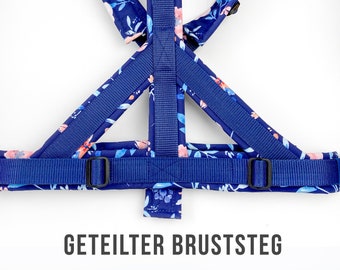 Hundegeschirr namen - Der absolute TOP-Favorit unseres Teams