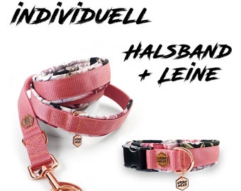 SET individual collar + webbing leash - dog - dog collar dog leash - padded - dog accessories - collar - dog