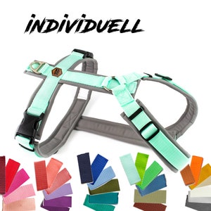 Individual Y-harness - dog harness - lead harness - dog - dog accessories - chest harness - harness