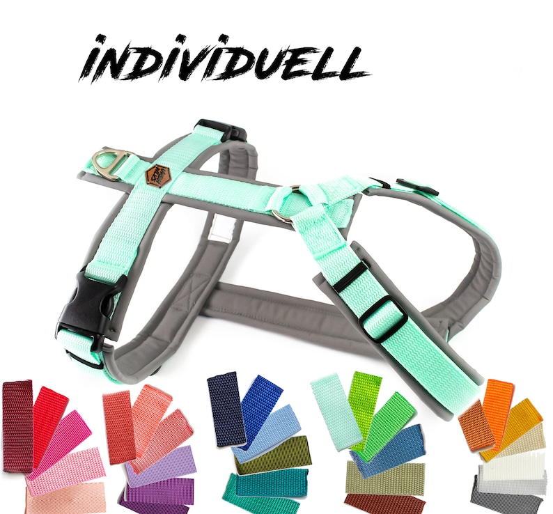 May include: A mint green and gray dog harness with a black buckle and a silver ring. The harness is adjustable and has a padded chest strap for comfort. The word "INDIVIDUELL" is written in black letters on a white background above the harness.