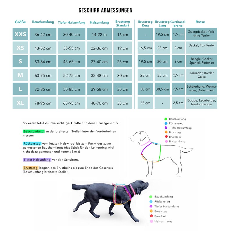May include: A chart with sizing information for dog harnesses. The chart includes measurements for chest, neck, and back length in inches. The chart also includes a list of dog breeds that are suitable for each size.