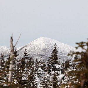 Algonquin Peak in der Wintersaison (8x10)