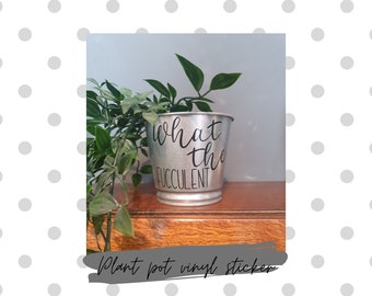 Pegatina de maceta "Qué fucculenta" - Calcomanía de vinilo con juego de palabras divertido