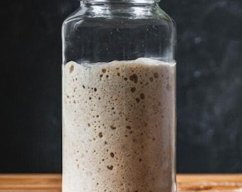 1880's San Francisco Organic Sourdough Starter: 200g Liquid Culture