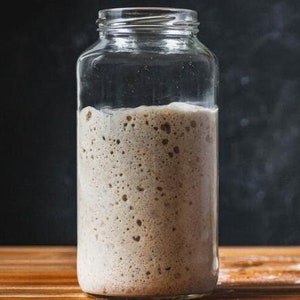 1880&#39;s San Francisco Organic Sourdough Starter: 200g Liquid Culture