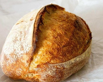 1860's San Francisco Sourdough Starter: Organic Culture