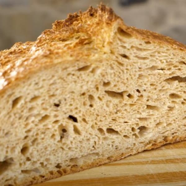 Alaska Yukon "Gold Rush" 1898 Sourdough Starter - 100% ORGANIC! The real deal!  The BEST on Etsy! Super Fresh and Active!