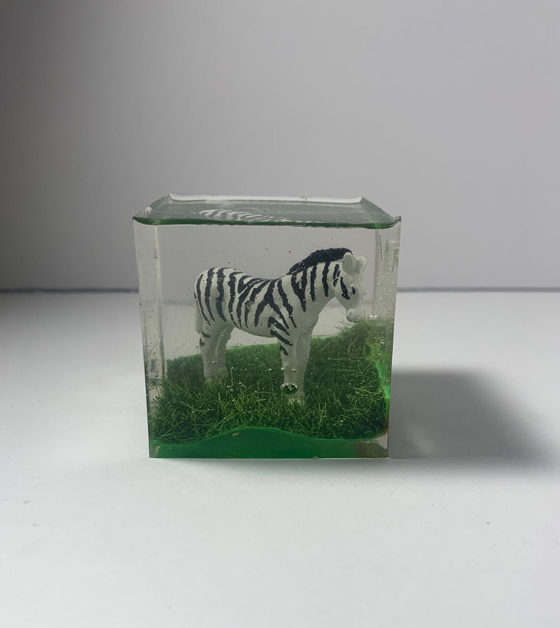 Zebra Cube Zebra Decor Animal Gifts Safari Decor Home Etsy