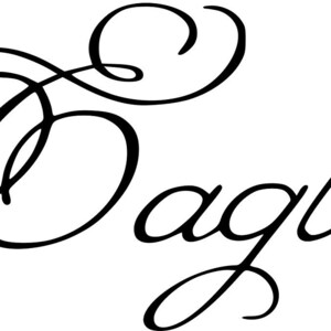 Pode incluir: Caligrafia manuscrita em tinta preta que diz "Wings as Eagles".