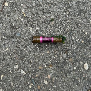 Puede incluir: Un objeto cil&iacute;ndrico marr&oacute;n con una banda rosa que muestra la palabra "STIIIZY" en blanco. El objeto est&aacute; parcialmente cubierto con materia vegetal verde y descansa sobre una superficie gris texturizada.