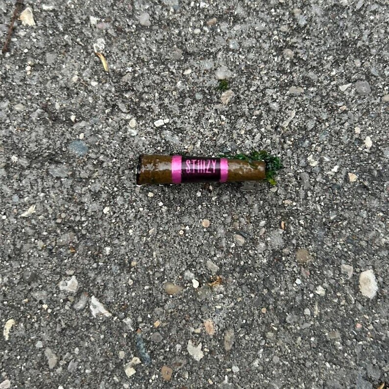 Puede incluir: Un objeto cil&iacute;ndrico marr&oacute;n con una banda rosa que muestra la palabra "STIIIZY" en blanco. El objeto est&aacute; parcialmente cubierto con materia vegetal verde y descansa sobre una superficie gris texturizada.