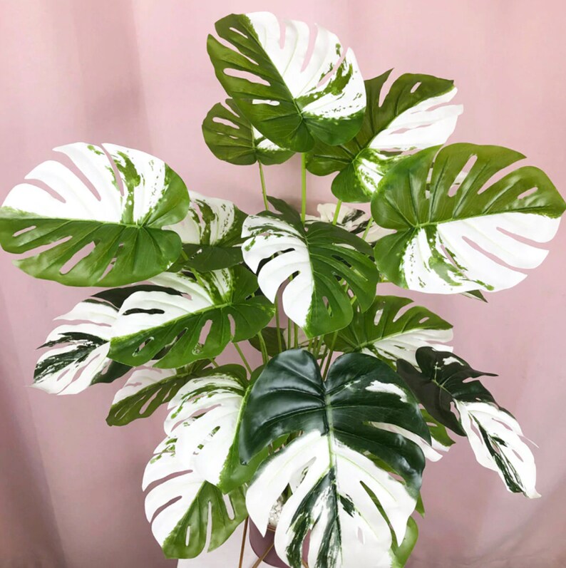 purchases shop ARTIFICIAL Monstera Albo, Monstera Albo