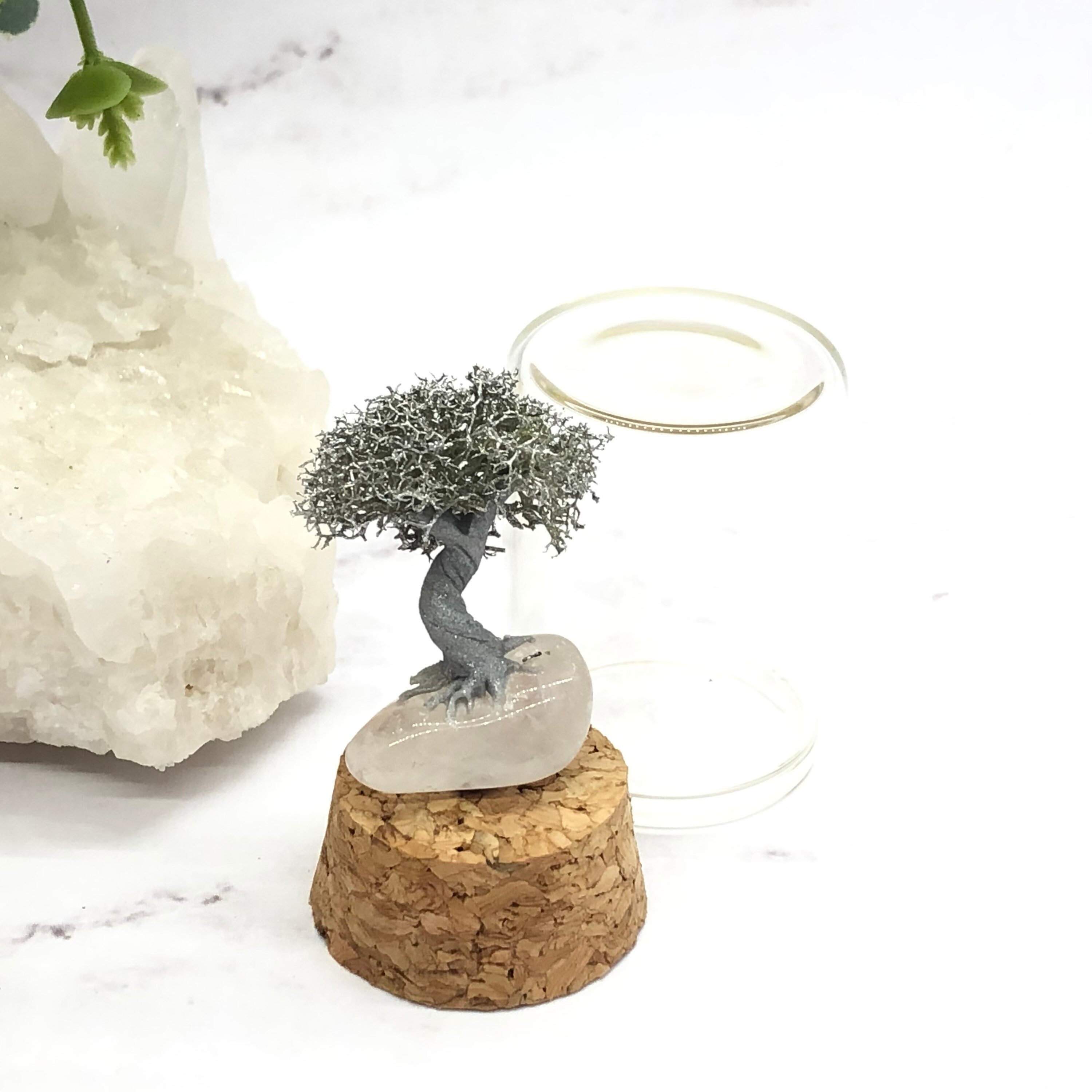 Teeny Tiny SILVER Bonsai Tree on Quartz Crystal in Glass Jar Etsy