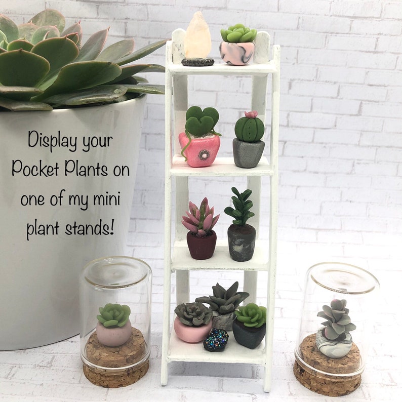 Tiny Wood Plant Stand Mini White Wooden Display Shelf 4 Etsy