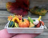 Tiny 10 Piece Pumpkin Gourds Leaves Crate Miniature Autumn Centerpiece Mini Ladder Shelf Plant Stand Dollhouse Shelf Fall Succulents
