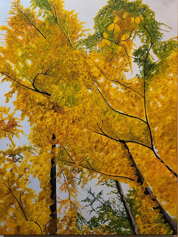 Autumn woods