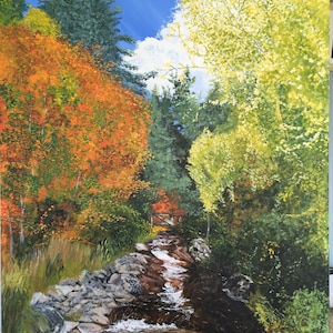 Stream at Sundance