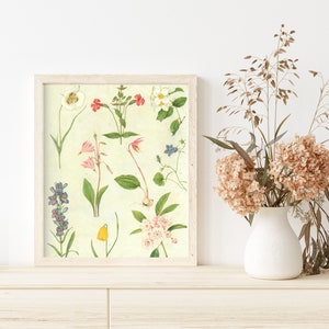 Wildflower Natives